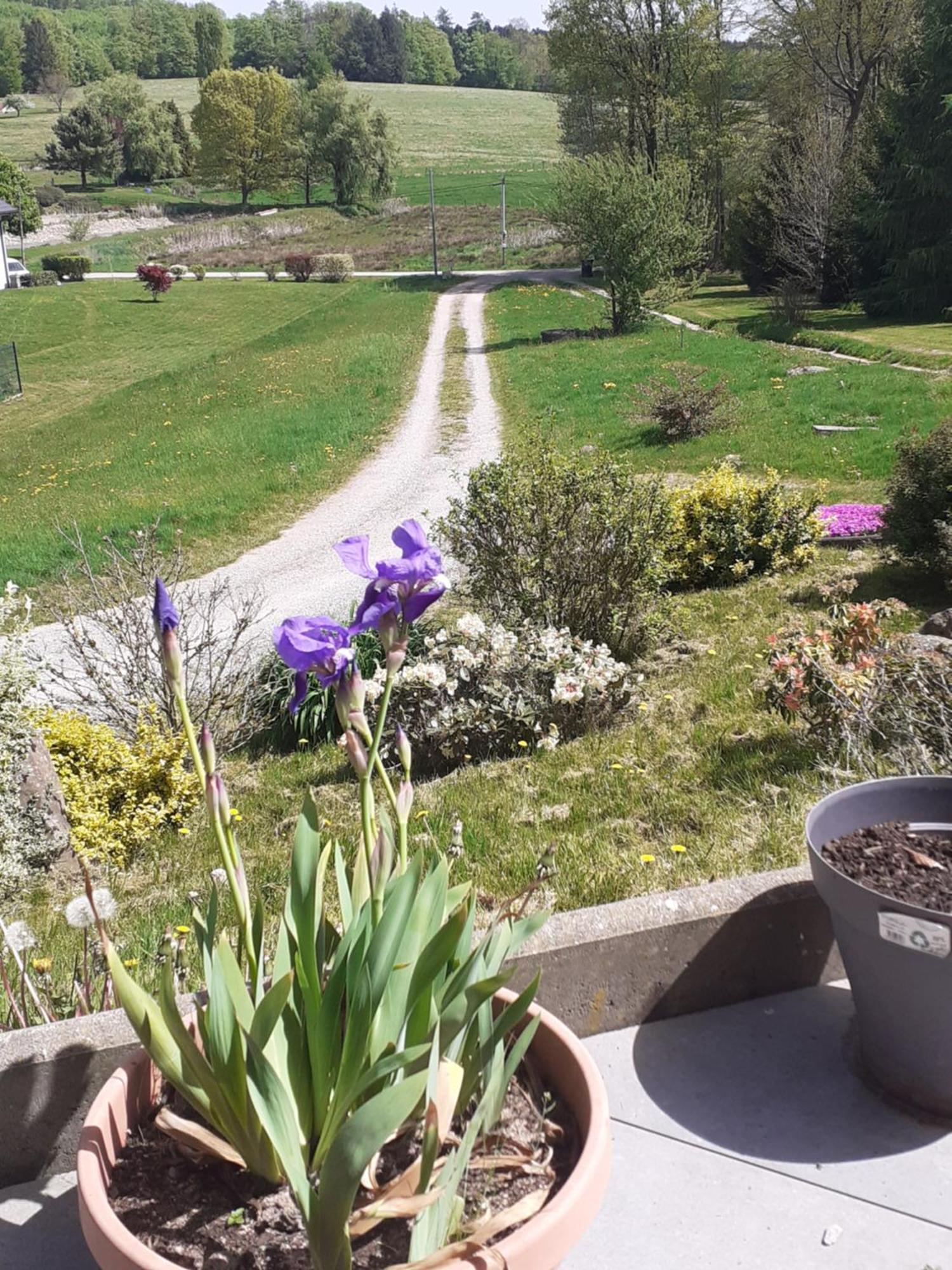 Bed and Breakfast Chez Papy Bellefontaine  Экстерьер фото